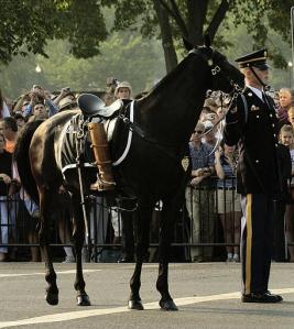 riderless-horse.jpg